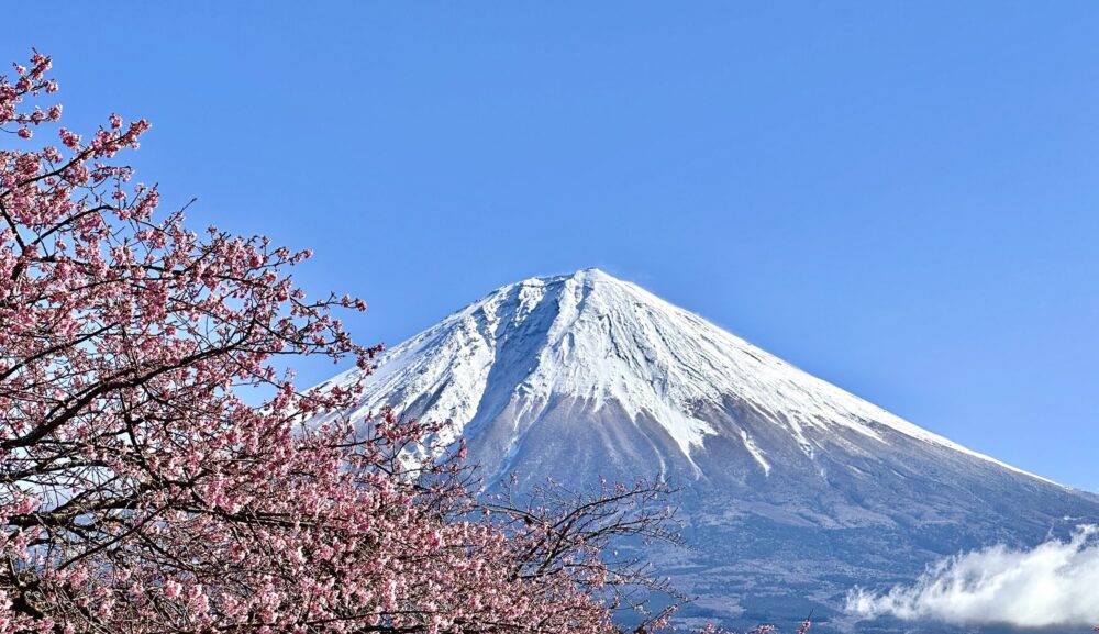 2026年4月のお休みのご連絡
